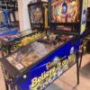 RIPLEY'S BELIEVE IT OR NOT STERN PINBALL FLIPPER (P2159)