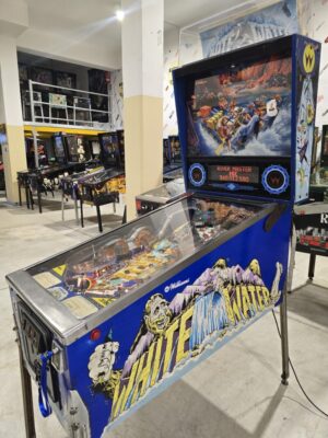WHITE WATER BALLY WILLIAMS PINBALL FLIPPER (P2250)