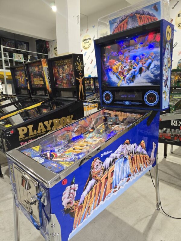 20251023_161253-800x1067-1.jpg WHITE WATER WILLIAMS PINBALL FLIPPER (P2257)