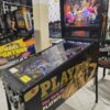 PLAYBOY STERN PINBALL FLIPPER (P2258)
