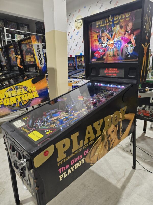 PLAYBOY STERN PINBALL FLIPPER (P2258)